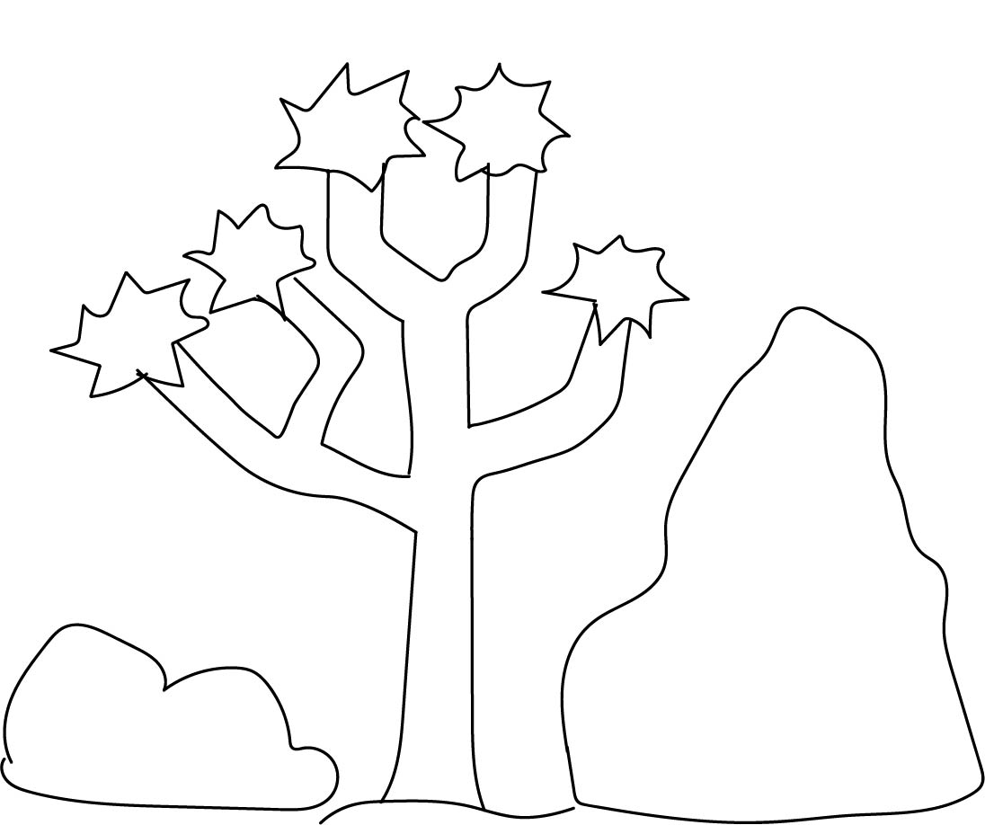 Draw a joshua tree us national park service