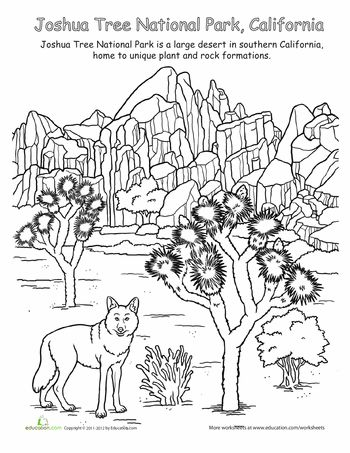 Joshua tree landscape coloring page worksheet education joshua tree national park coloring pages cool coloring pages