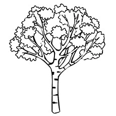 Top tree coloring pages for your little ones