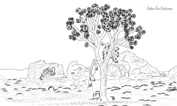 Joshua tree coloring page by socal field trips tpt