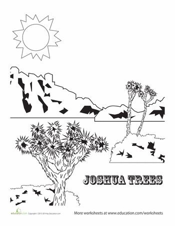 Joshua tree joshua tree tree coloring page joshua tree national park