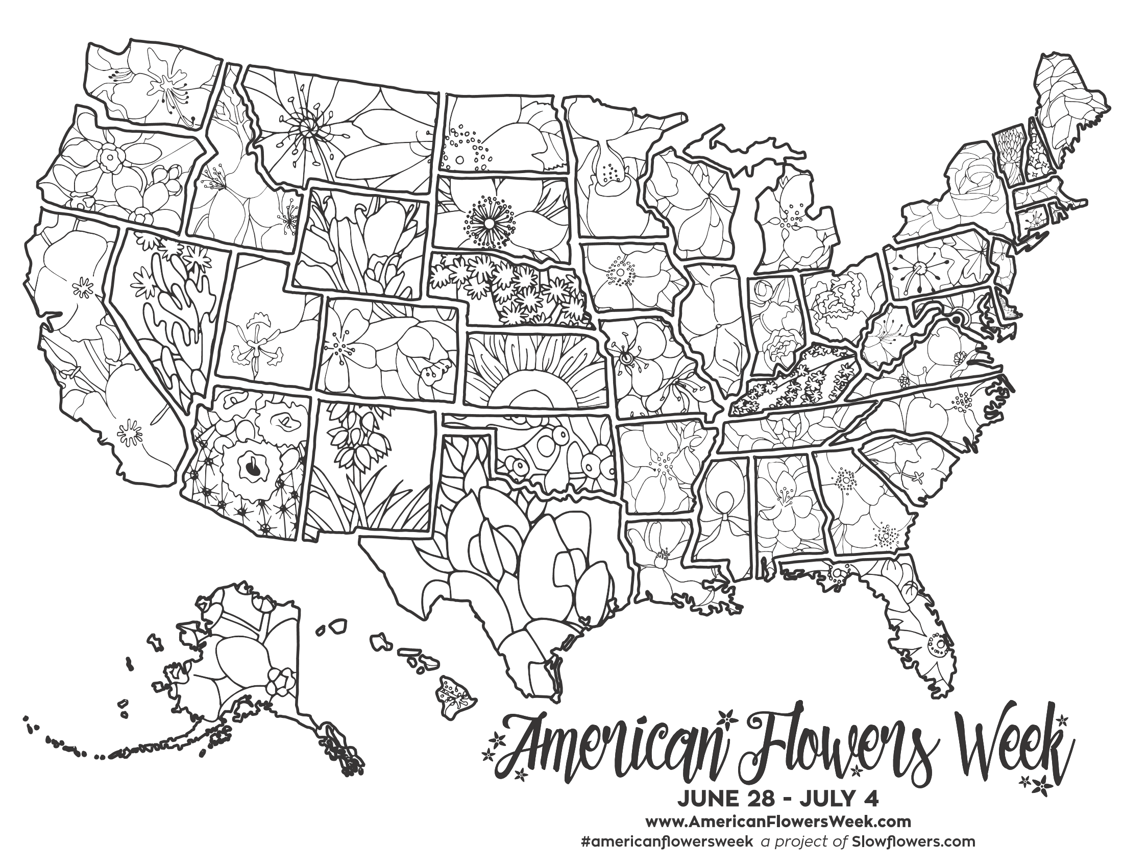 State flowers â free coloring pages â american flowers week