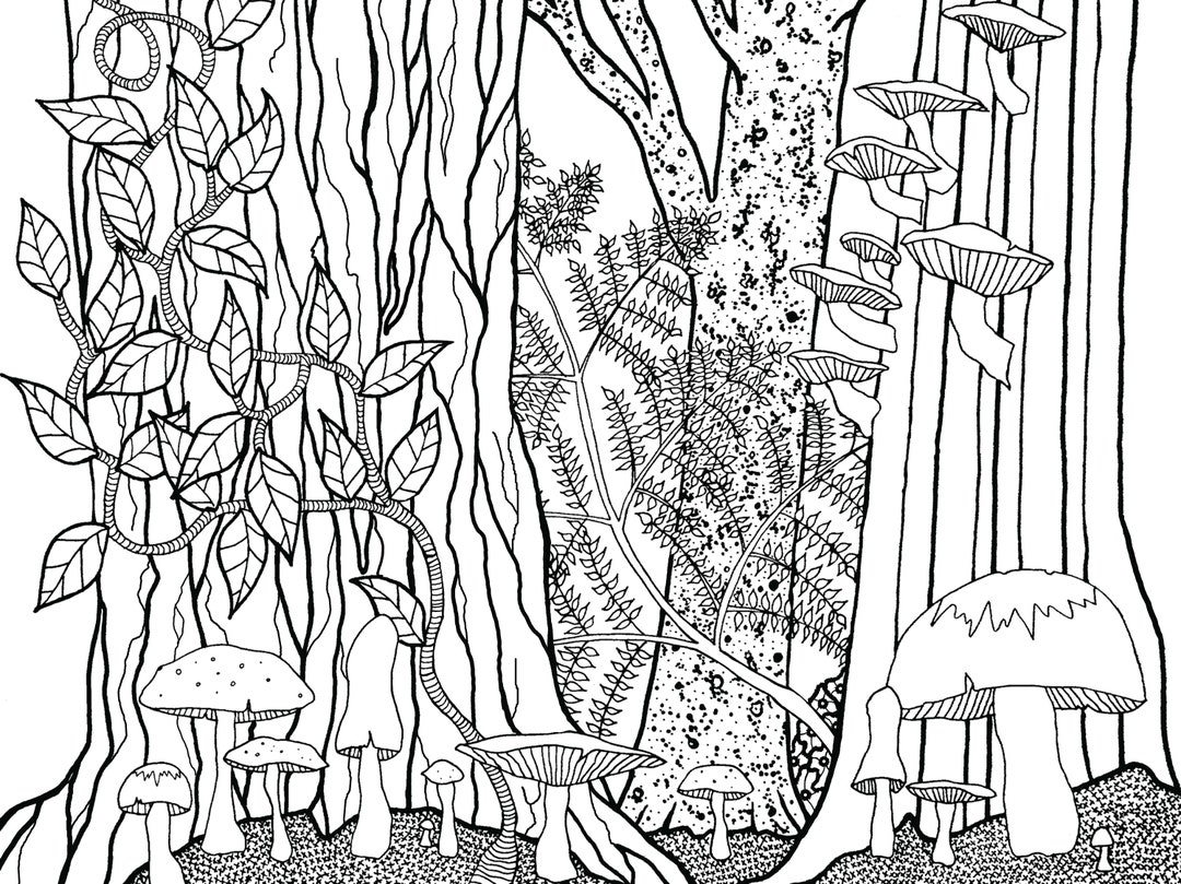 Forest floor digital download ink drawing coloring page black white art