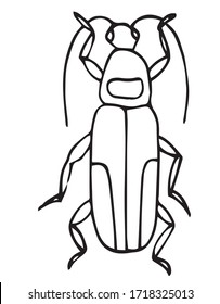 Hakuun beetle easy coloring page kids exotic liittyvã vektorikuva rojaltivapaa