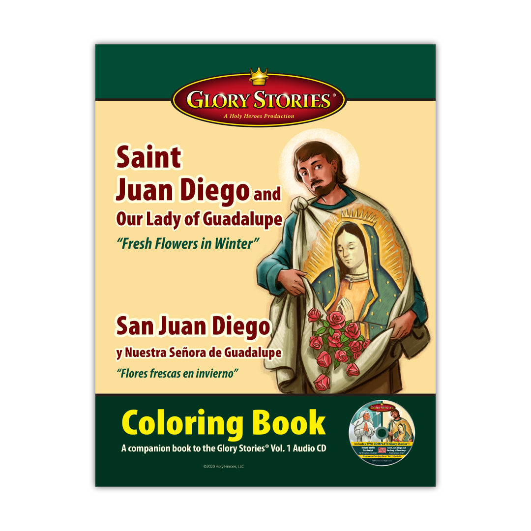 St juan diego and our lady of guadalupe