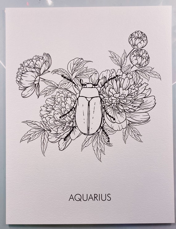 Aquarius june bug coloring page x page only