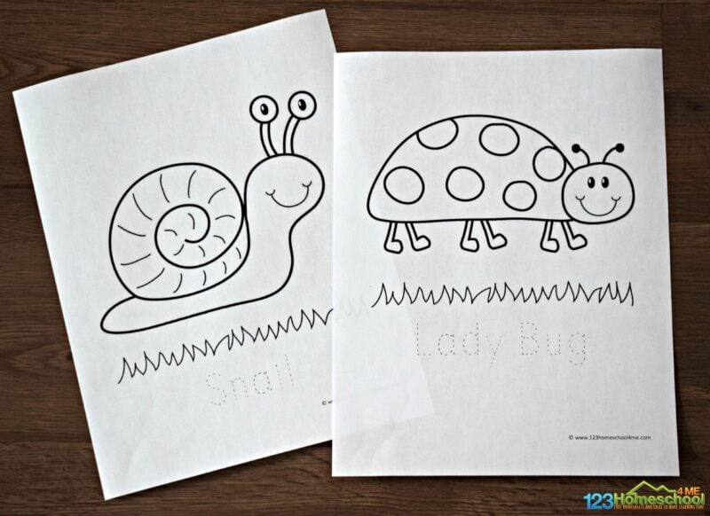 Ððð free printable simple bug and insect coloring pages for kids