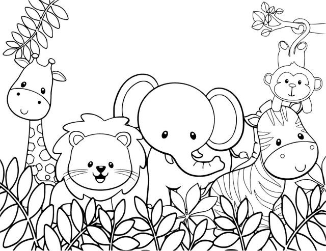 Brilliant picture of jungle animal coloring pages