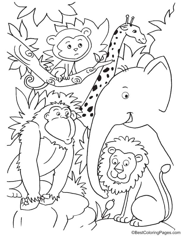 Cute animals in jungle coloring page download free cute animals in jungle coloring page for kids best coloring pages