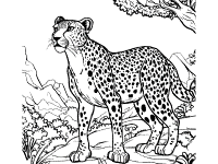 Big cats and wild cats coloring pages and printable activities