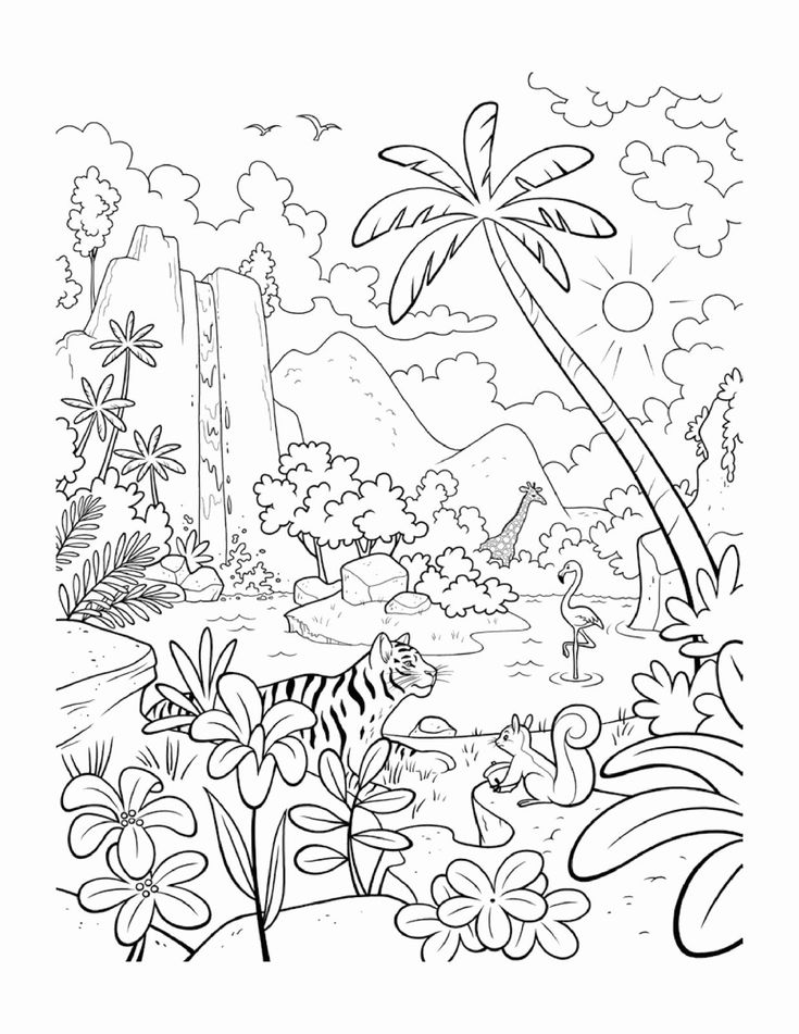 Free printable rainforest coloring pages pdf