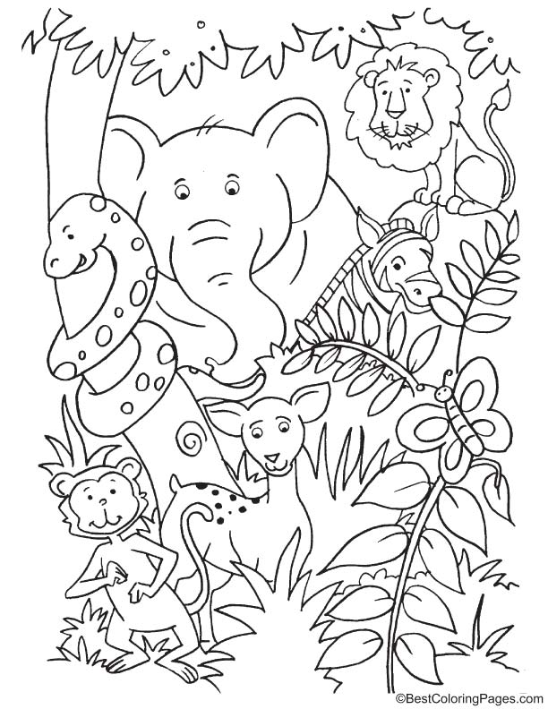 Animals inside the jungle coloring page download free animals inside the jungle coloring page for kids best coloring pages