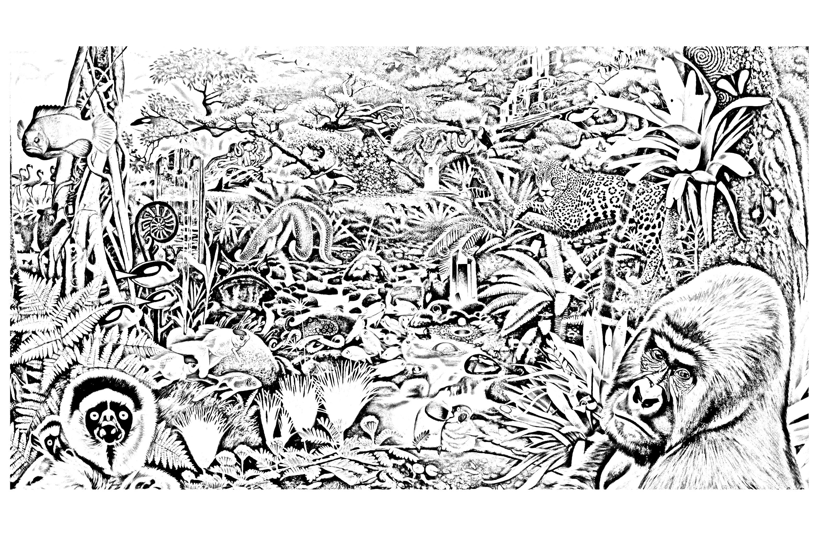 Various animals in a forest to print and color for free jungle coloring pages animal coloring pages forest coloring pages