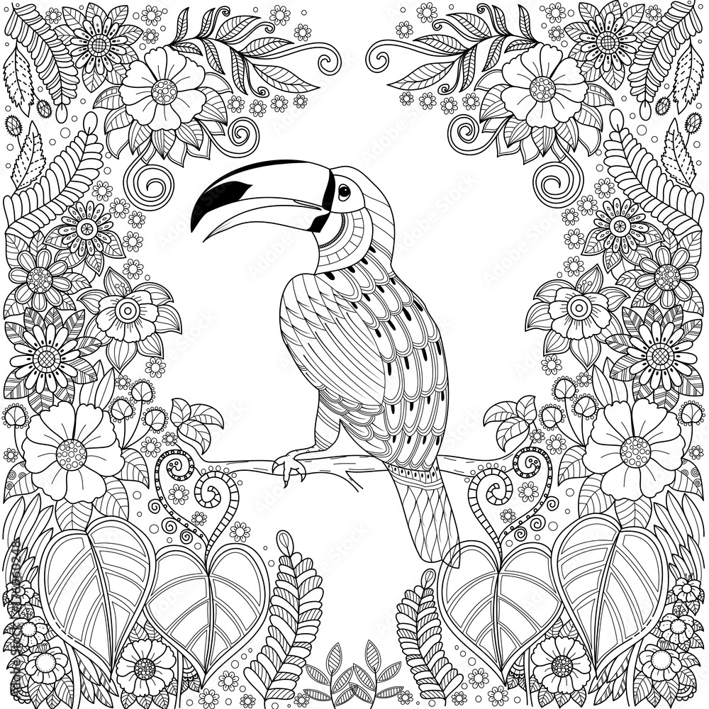 Tropical hornbill bird zentangle in jungle with flowers for adult coloring book pagevector illustrationhand drawn vector