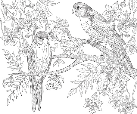 Parrots sit on a branch in the jungle adult coloring book page doodle tropical birds vector illustration stock illustration