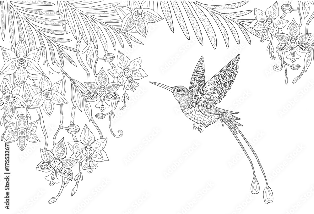 Orchid flowers and hummingbird and palm leaves in the jungle page for adult coloring book in doodle style vector