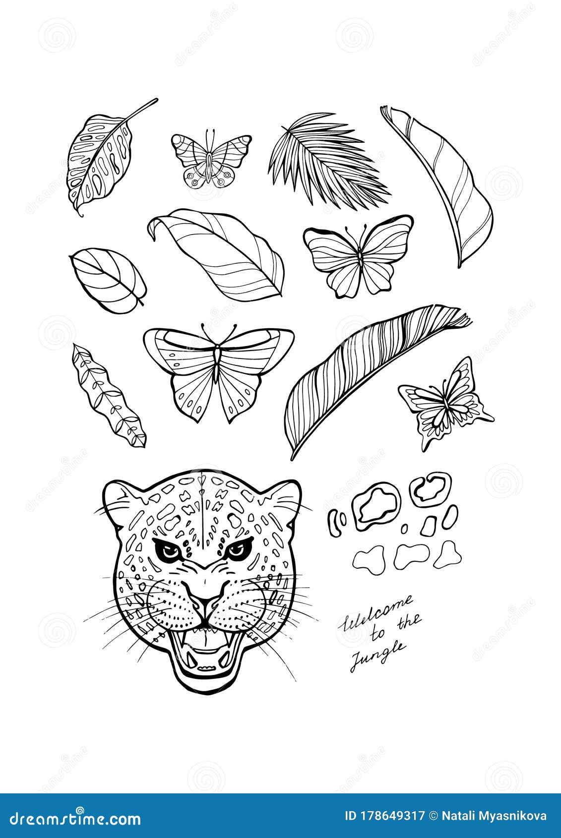 Jungle coloring page with leopard butterflies and leaves outline coloring page textile print exotic squared stock illustration