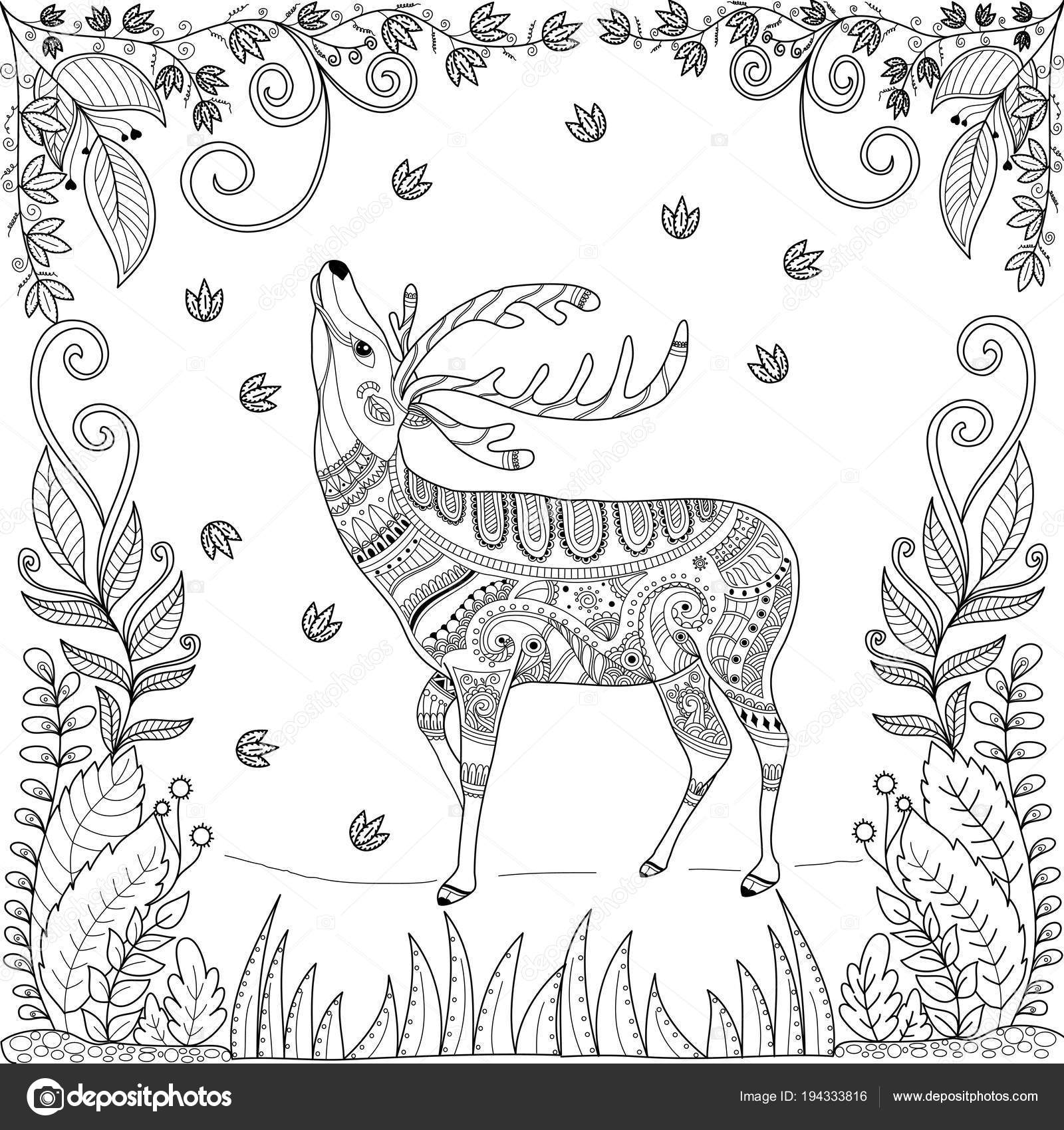 Coloring book page deer jungle adult zentangle stlyized vector illustration stock vector by noonizen