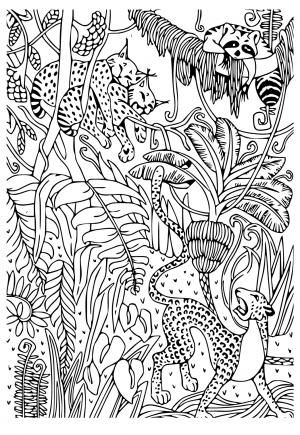 Free printable jungle coloring pages for adults and kids