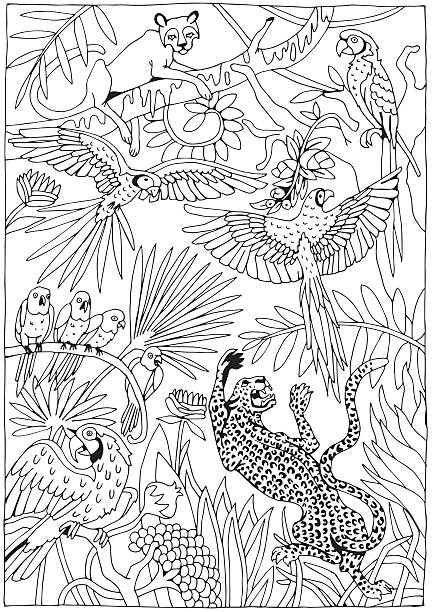 Jungle coloring pages stock illustrations royalty