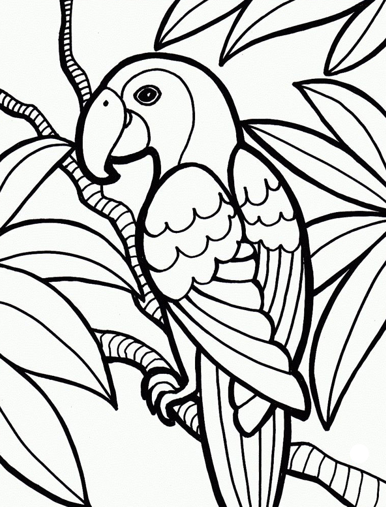 Jungle coloring pages