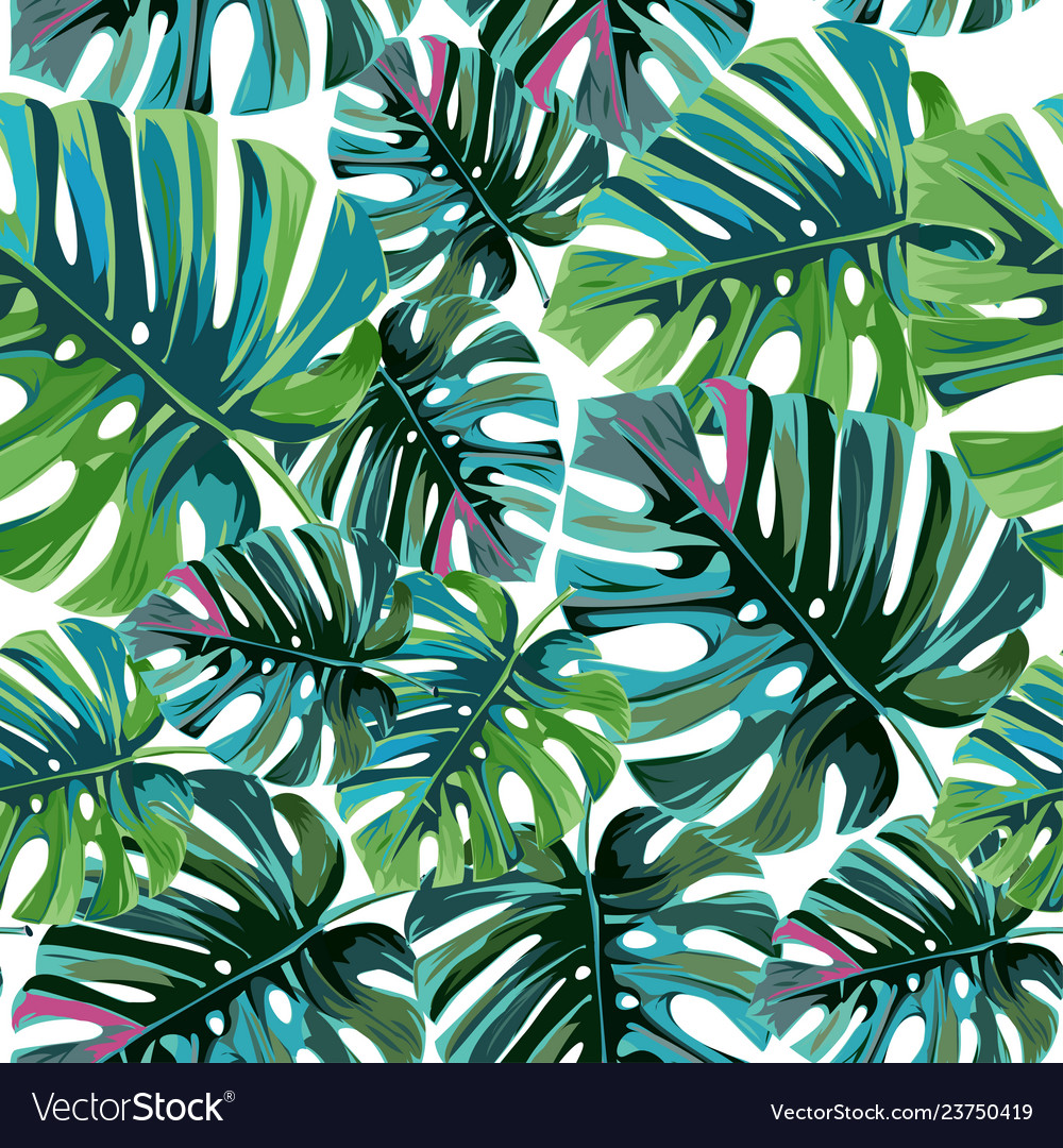 Download Free 100 + jungle leaf background