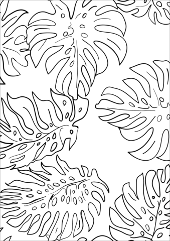 Monstera leaves pattern coloring page free printable coloring pages