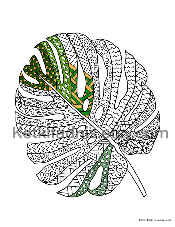 Monstera leaf coloring page flower coloring page pdf download digital download coloring page zentangle