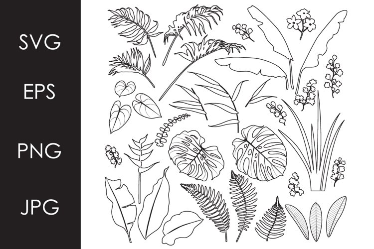 Tropical leaves and flowers outline set