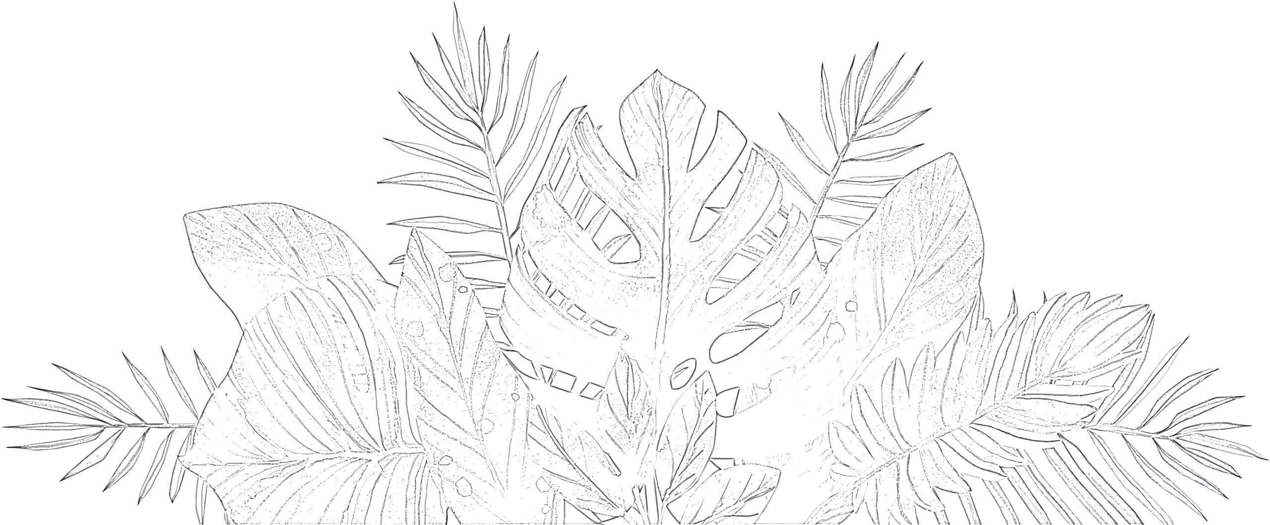 Tropical leaves coloring page