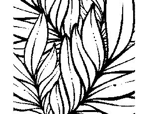 Tropical leaves coloring page