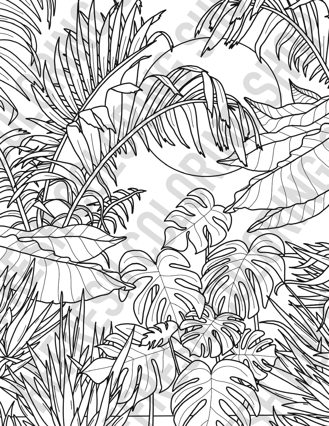 Jungle scene in nature with plants coloring page pdf instant download