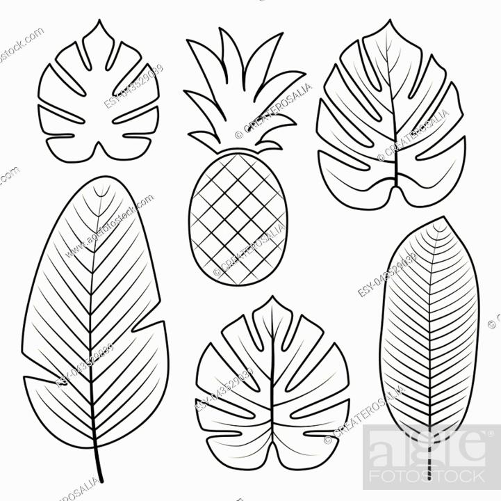 Tropical palm leaves and pineapple isolated on white background stock vector vector and low budget royalty free image pic esy