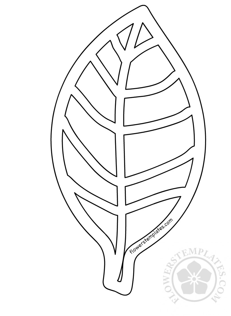 Simple fall leaf template coloring pages nature