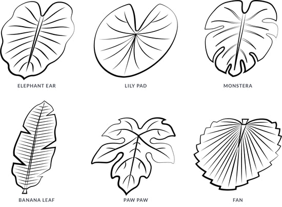 Tropical leaf bundle leaf shapes in all sizes â twig tale