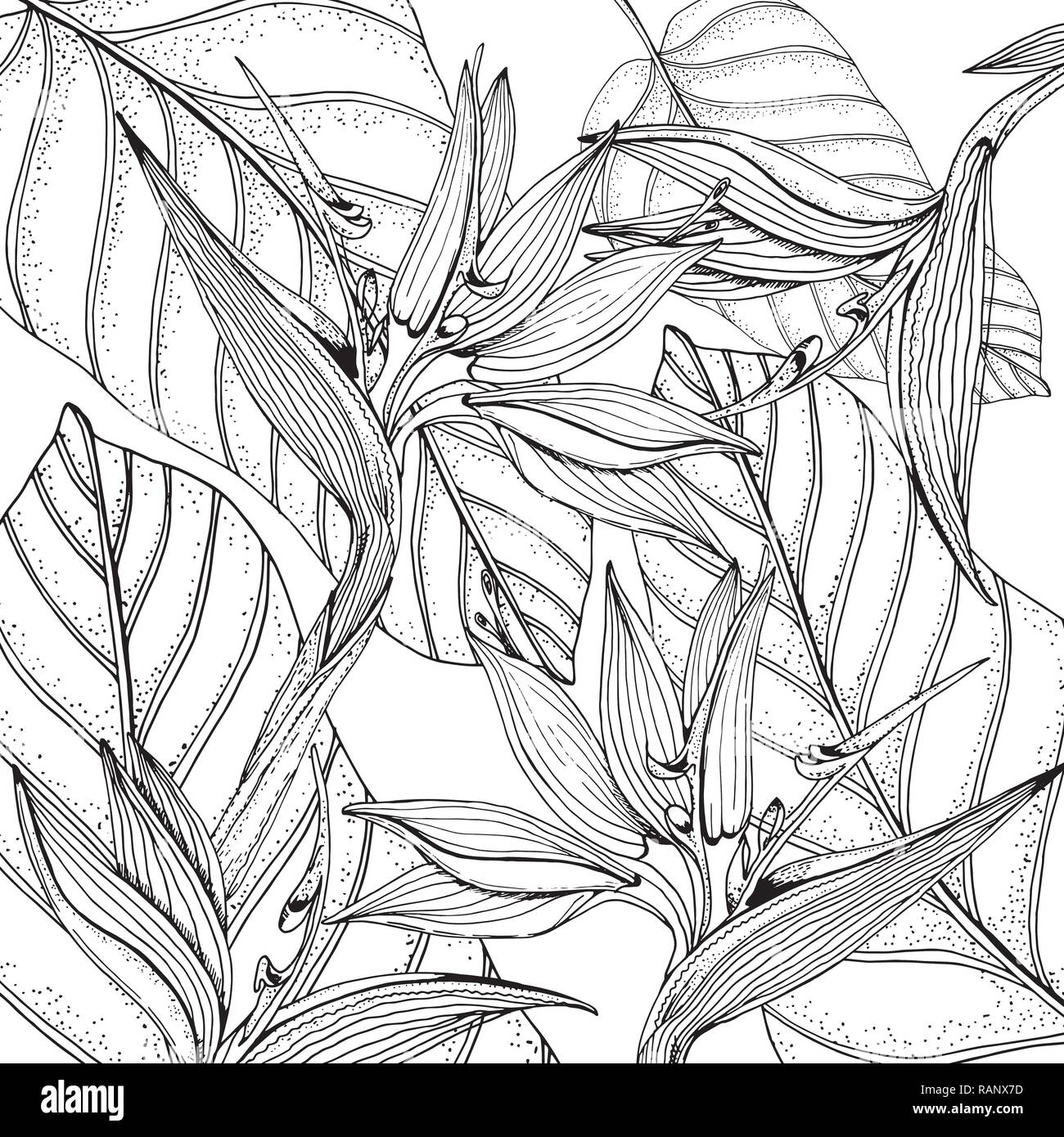 Doodle floral tropical background in vector with doodles black and white coloring page paradise flowers banana leaves vector ethnic pattern can be stock vector image art