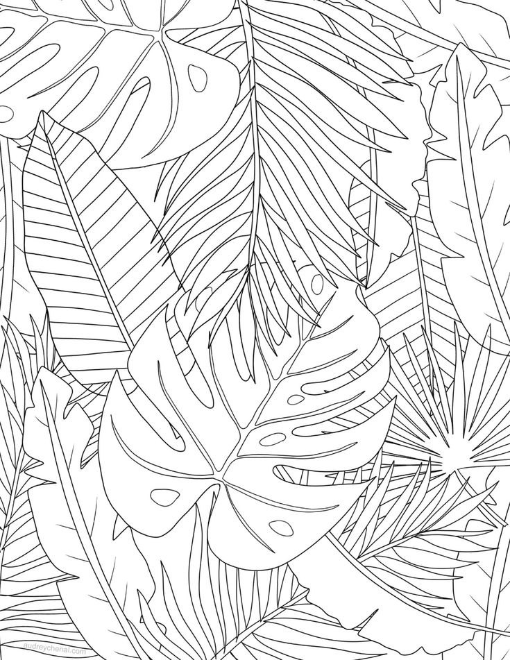 Tropical leaves coloring page