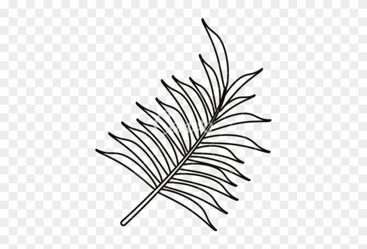 Free tropical leaves png transparent in balck