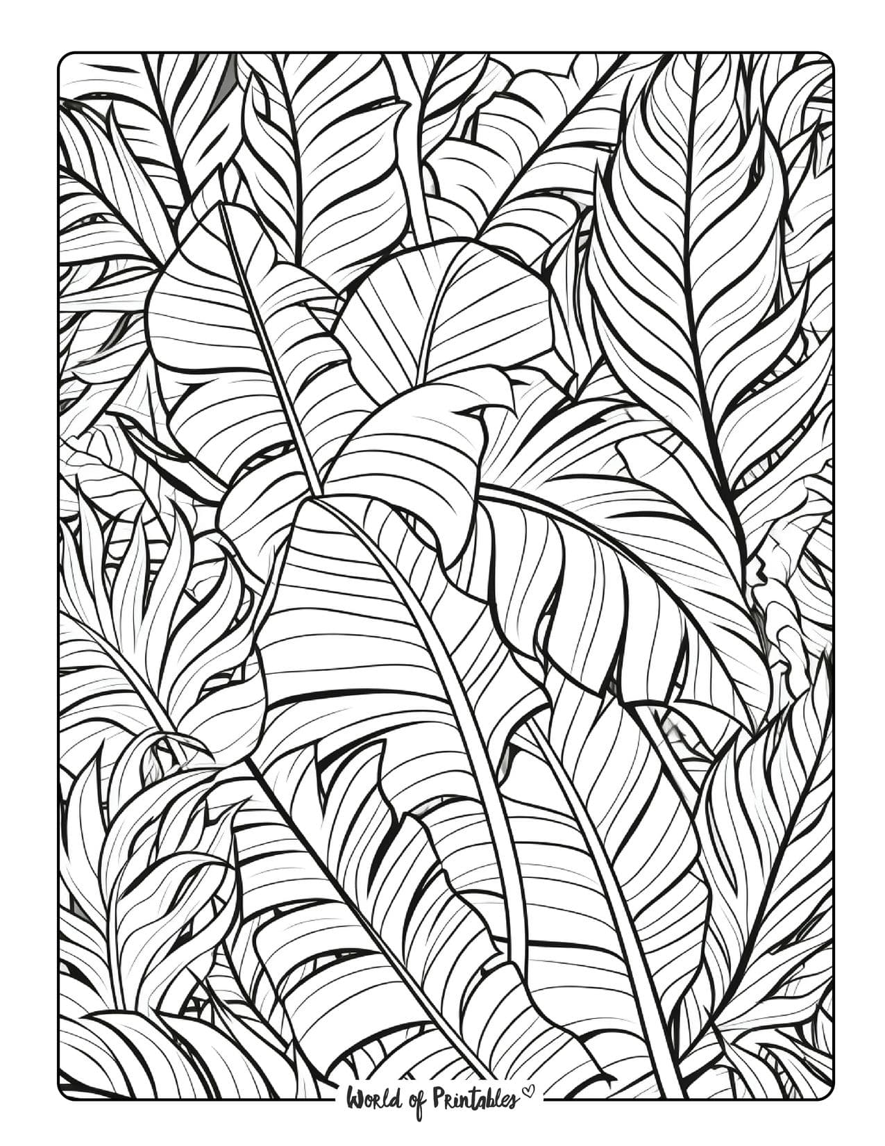 Jungle coloring pages