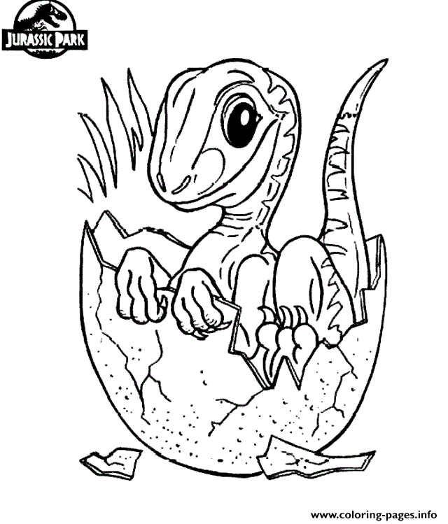 Jurassic park dinosaur coloring page printable