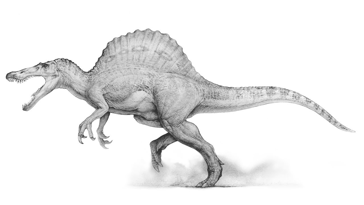 What are spinosaurs made of an awesome look at the making of a