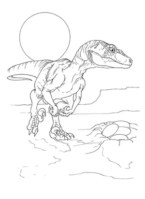 Velociraptor coloring page