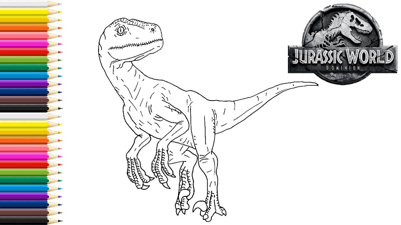 How to draw velociraptor blue from jurassic world