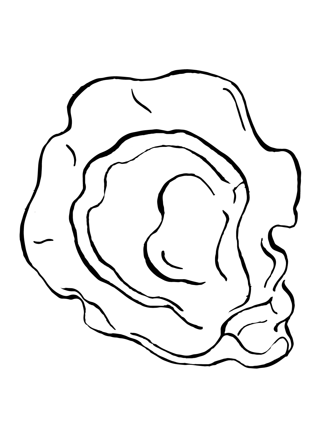 Oyster coloring pages printable for free download