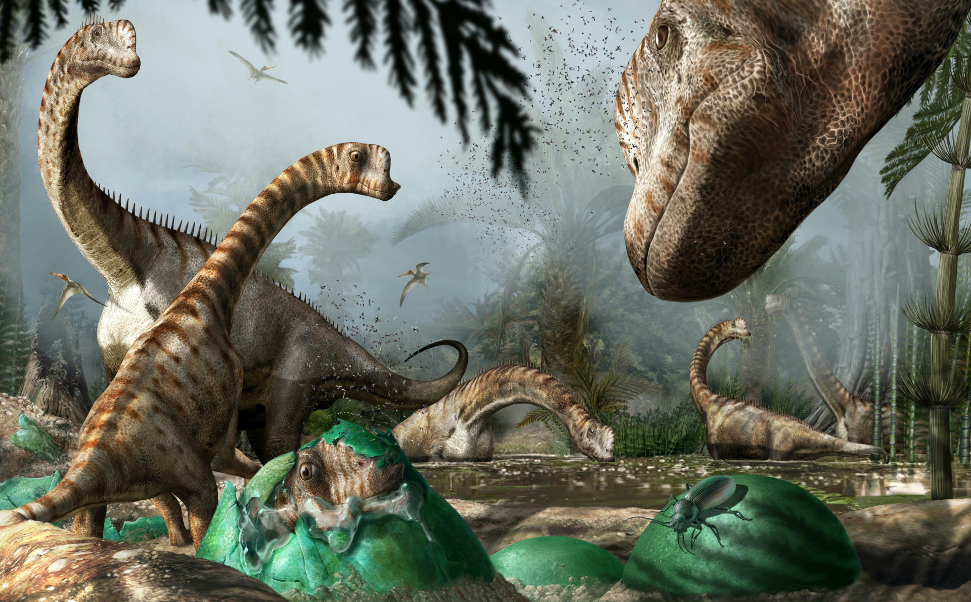 Jurassic sauropod dinosaur was likely precocial new study suggests