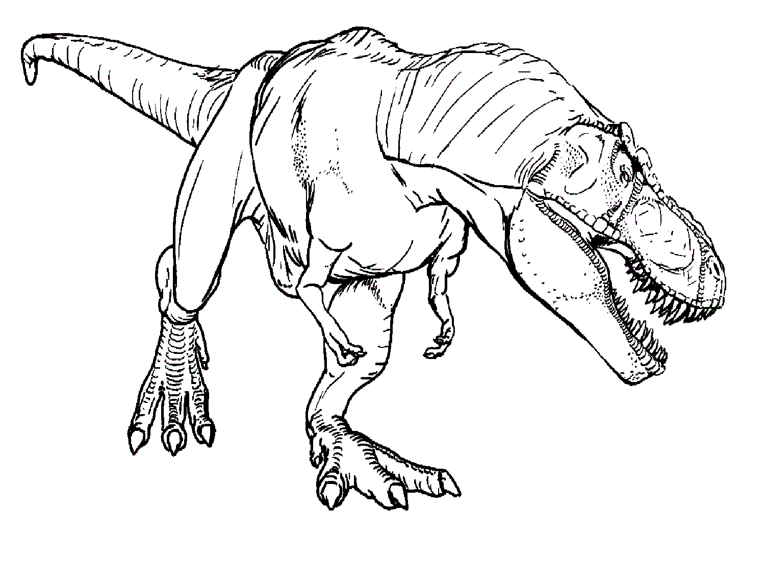 Jurassic world coloring sheet printable coloring page