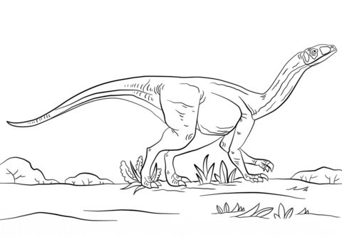 Colorful jurassic park mussaurus coloring page