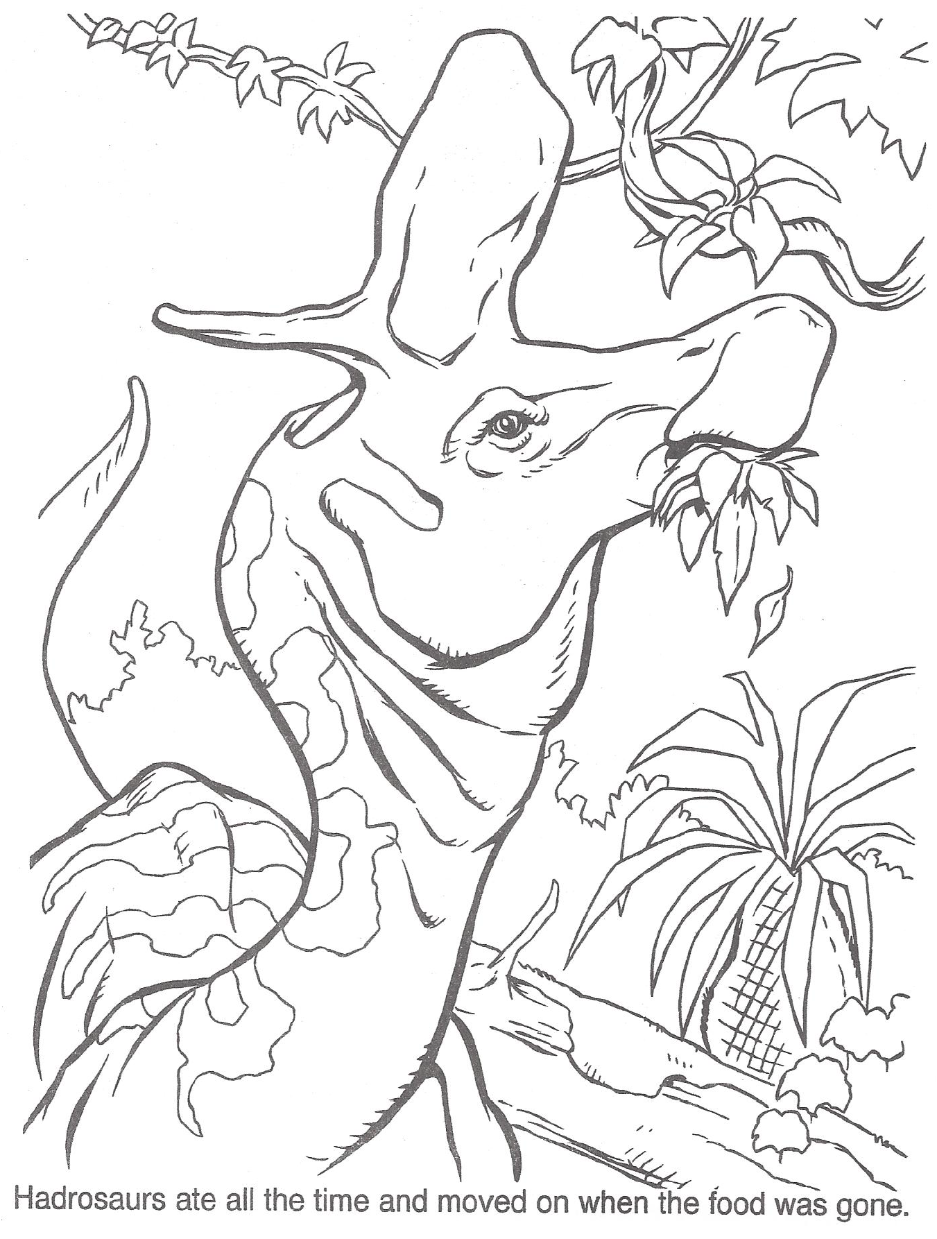 Official coloring pages from the lost world jurassic park