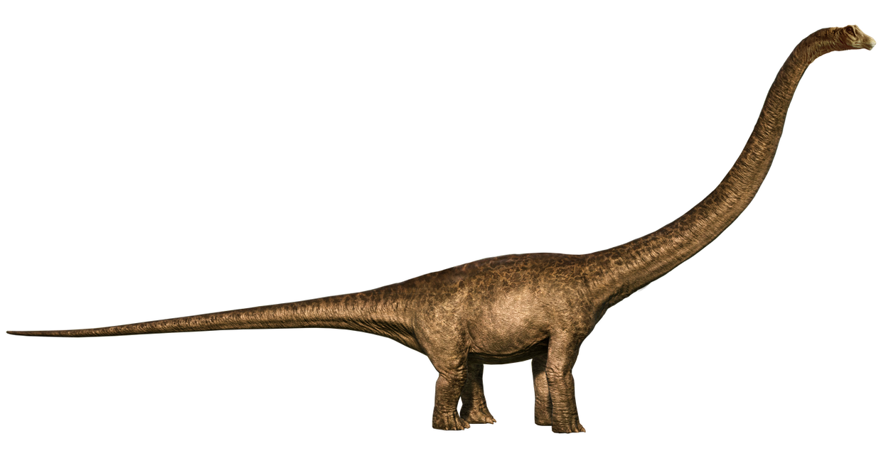 Mamenchisaurus jurassic park wiki