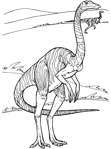 Gallimimus dinosaur coloring page free printable coloring pages